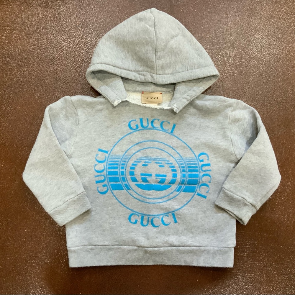 Gucci Sweatshirt Hoodie, Gray, 18/24M